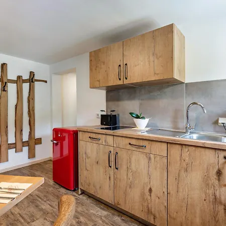 Zur Linde Und Lejlighed St. Blasien